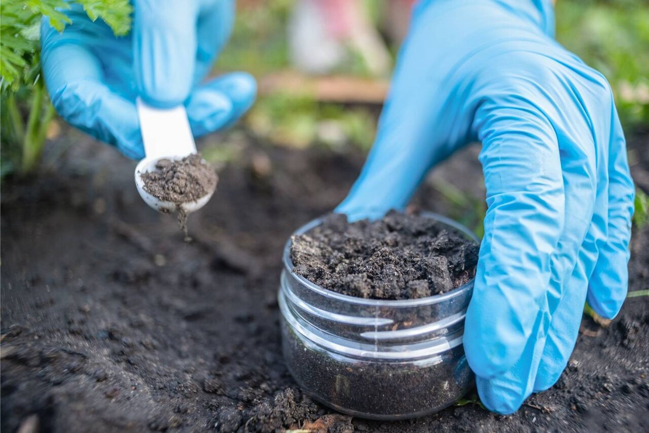 کشف آنتیبیوتیکی قدرتمند که مقاومترین باکتریها را نابود میکند کشف آنتیبیوتیکی قدرتمند که مقاومترین باکتریها را نابود میکند