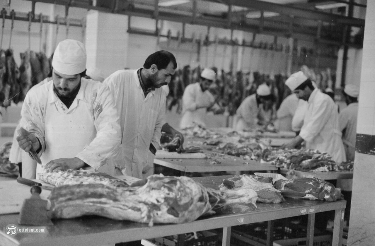 کشتارگاه تهران ۷۰ ساله شد! + عکسهای تاریخی از مکانی که وجود ندارد کشتارگاه تهران ۷۰ ساله شد! + عکسهای تاریخی از مکانی که وجود ندارد